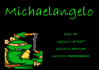 Teenage Mutant Ninja - Michaelangelo