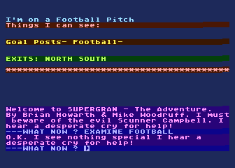 Super Gran The Aventure